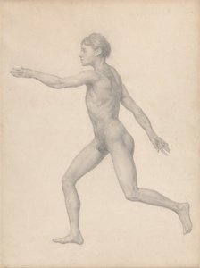 Een Vergelijkende Anatomische Expositie van de Structuur van het Menselijk Lichaam met die van een Tijger en een Koe